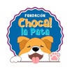 Fundación Col Choca La Pata - foto de perfil de Instagram