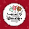 Fundación Mi Última Pulga - foto de perfil de Instagram
