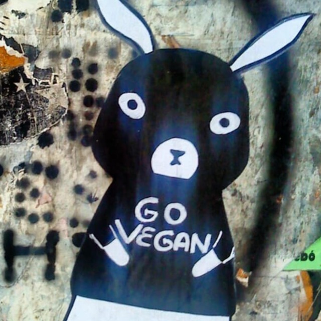 Veganismo Colectivo